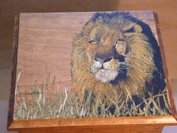 Lion Painted Nature Box